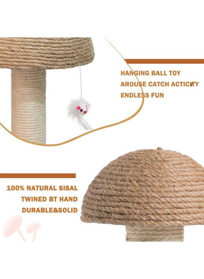 Neostyle Cat Scratching Post For Kittens,Indoor Scratching Post with Natural Sisal and Magic Ball(Small Mushroom-20*16*13cm)  - Image 5