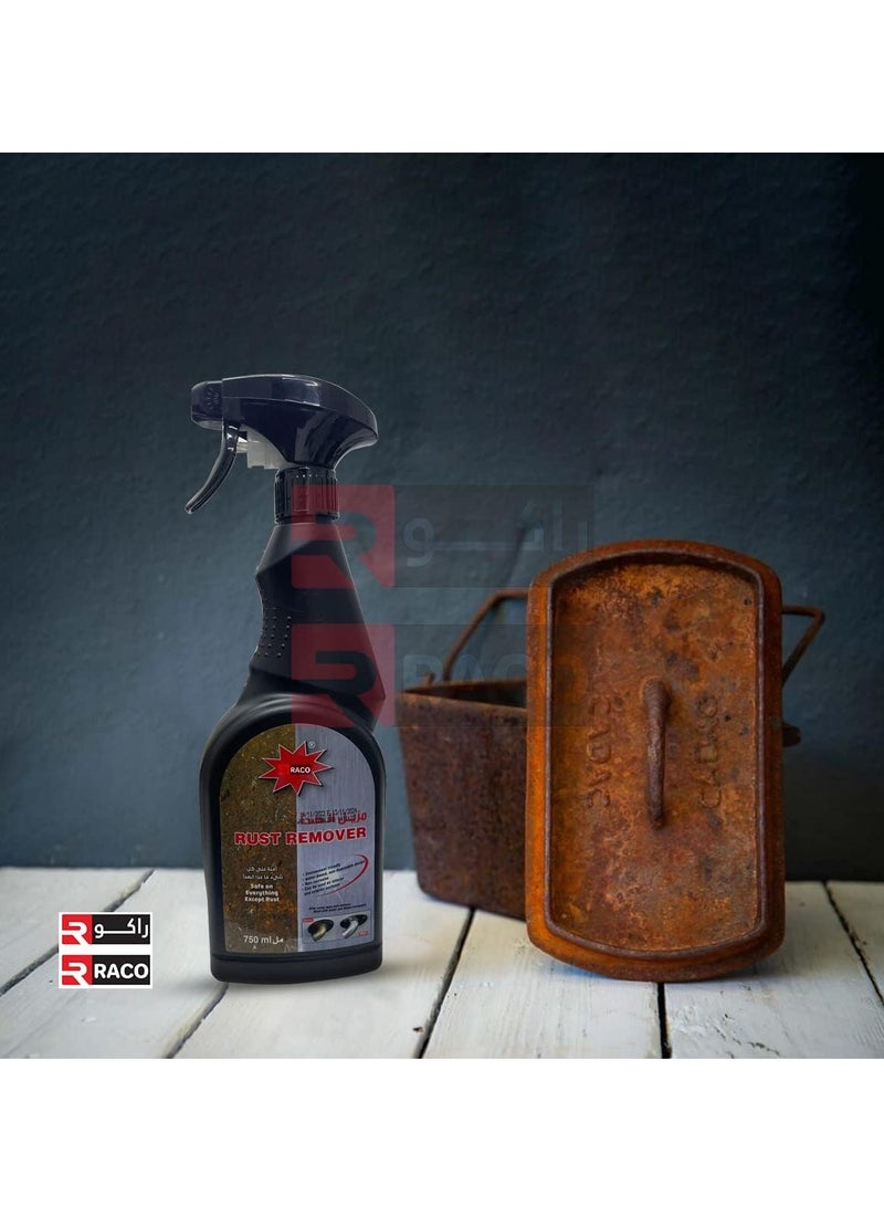 راكو بخاخ مزيل الصدأ المائي للحديد والصلب من الداخل والخارج، 750 مل - Image 4