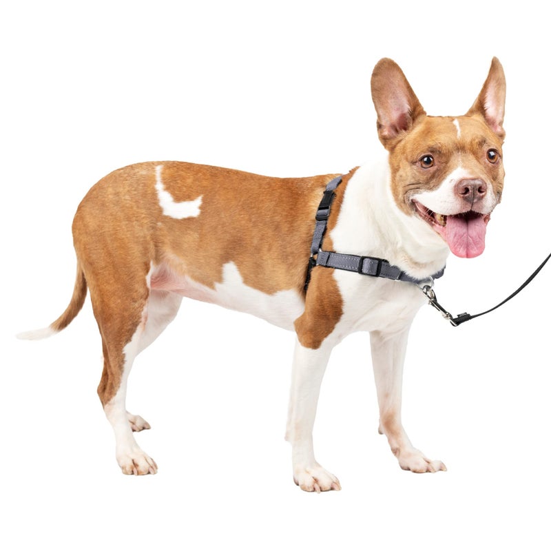 PetSafe Easy Walk Deluxe Dog Harness, No Pull Dog Harness â€“ Perfect for Leash & Harness Training â€“ Stops Pets from Pulling and Choking on Walks â€“ Medium, Steel - Image 1