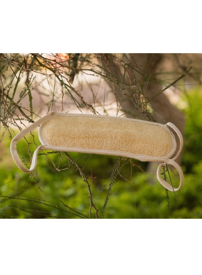 لوفة طبيعية لتقشير الظهر - Image 4