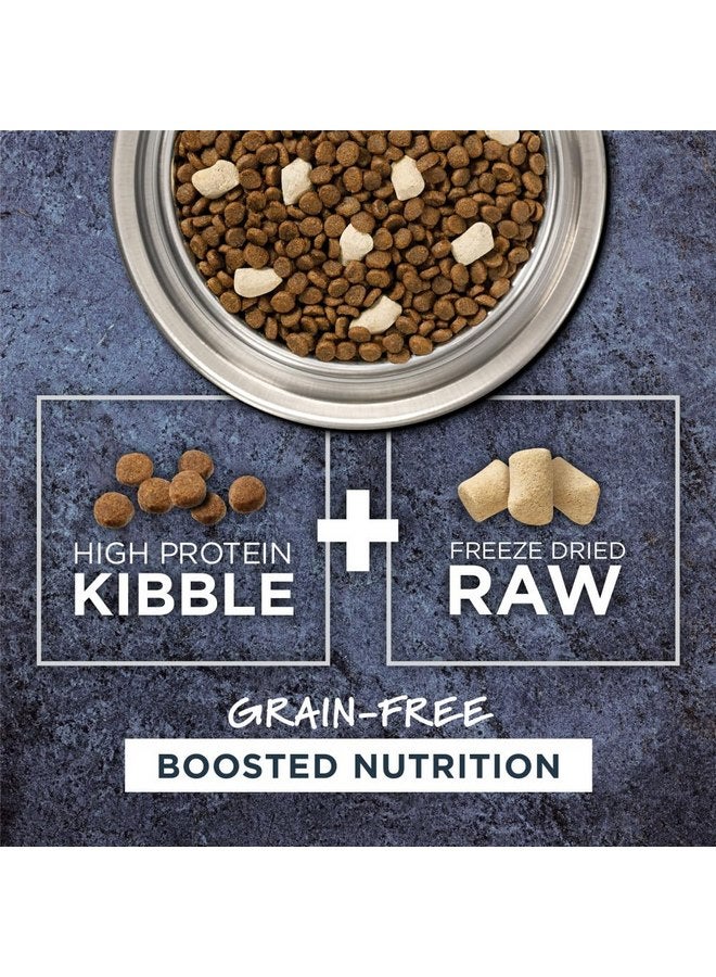 غريزة طعام القطط الجاف الطبيعي من Instinct Raw Boost Grain Free Recipe with Real Chicken، كيس 10 رطل - Image 2