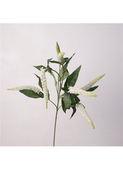 Sage-White Green