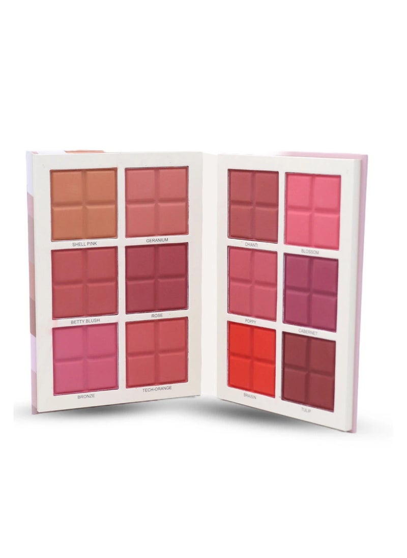 Blush Palette 12 Colour - pzsku/Z791D8B2AE75A34A35484Z/45/_/1714674756/36176262-9855-4484-9b75-842795d54492