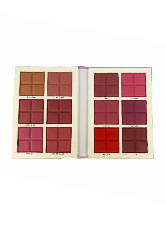 Blush Palette 12 Colour - pzsku/Z791D8B2AE75A34A35484Z/45/_/1714674757/18bdfee3-3f72-4079-ba30-cf335261201a