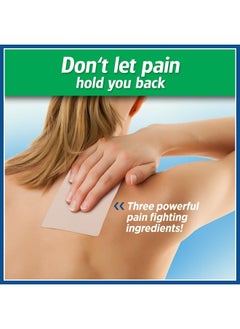 Salonpas Pain Relieving Patches 6 Piece Large- 14.4 X 9.2 Cm  - Image 2