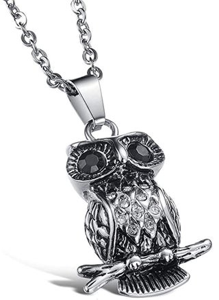 Titanium Steel Owl Black Eye Pendant Necklace Men's Personality Domineering Owl Pendant Necklace Titanium Steel Trend Necklace Male Fashion Jewelry - pzsku/Z791E95AA593A0DB4EC90Z/45/_/1698654399/72208160-4acd-4dd5-bc2e-1e36074b976d