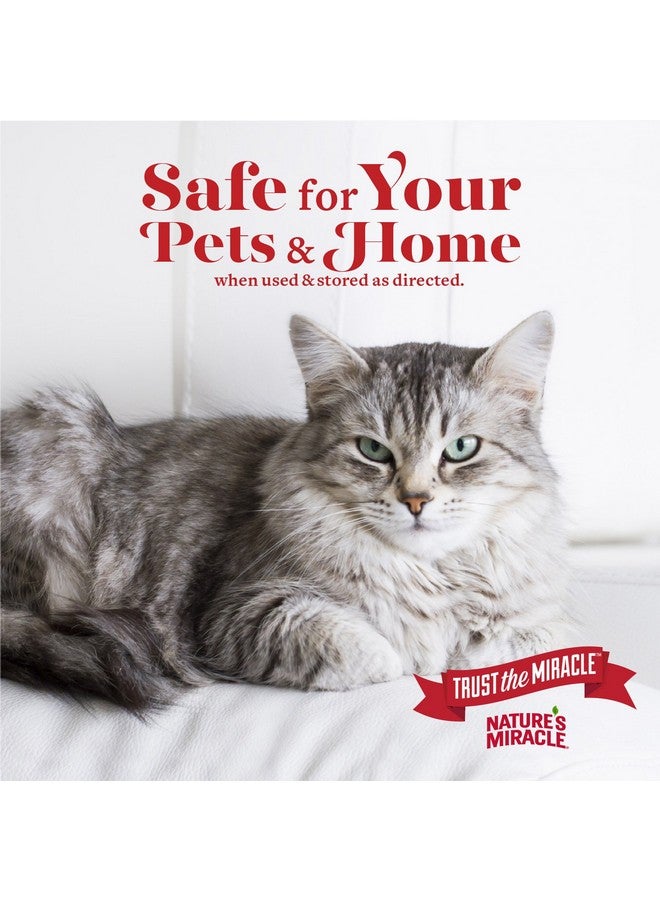 Nature's Miracle Nature’S Miracle Advanced Stain And Odor Eliminator Cat, For Severe Cat Messes - Image 5