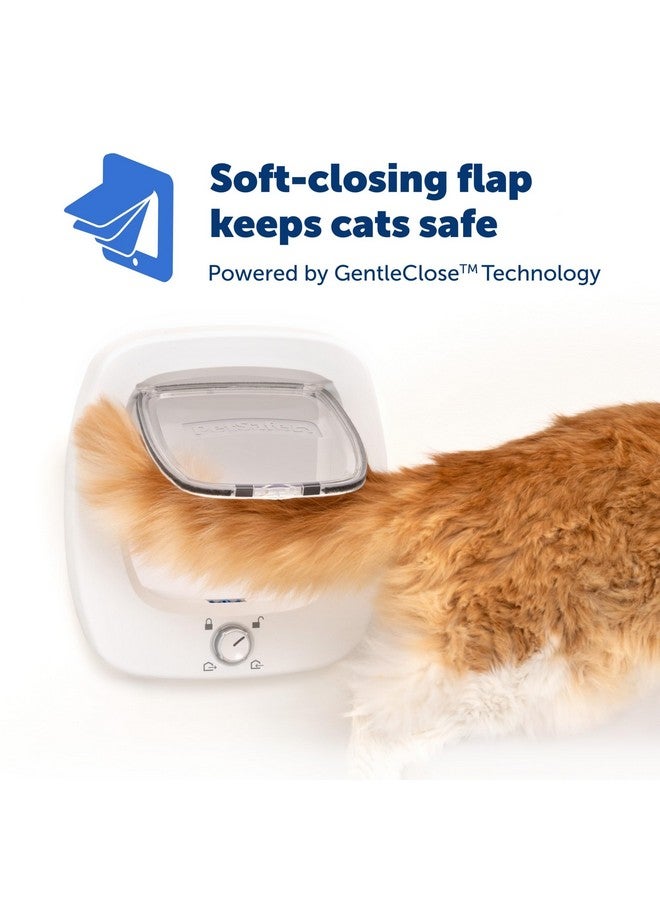 بيت سيف باب PetSafe للقطط الكبيرة - باب متعدد الحيوانات الأليفة، باب للقطط بقفل مصنوع للاستخدام الداخلي والخارجي، مناسب للحيوانات الأليفة التي يصل وزنها إلى 25 رطلاً، قفل دفع ودوران في 4 اتجاهات لمزيد من الأمان - غطاء إغلاق ناعم لمزيد من الأمان - Image 4