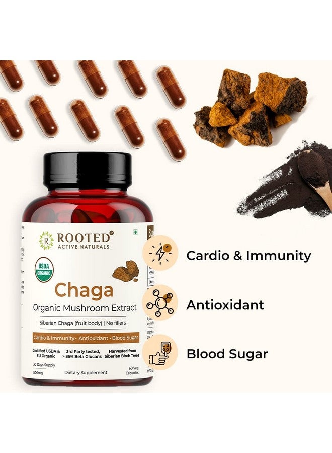 Rooted Actives, Siberian Chaga Mushroom Extract, Certified Organic| 35% Beta Glucans - Lab verified | Antioxidant & Vitality support (90 Veg Caps), - Image 5