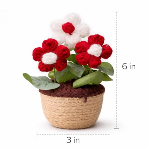 Akaar Decor's Handcrafted Crochet Flower Pot | Artificial Flowers for Home | Birthday | Anniversary | Housewarming Gifts | 100% Handmade Yarn Flower Décor (Crochet_Pot_Red) - Image 2
