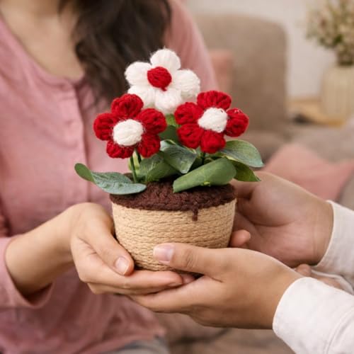 Akaar Decor's Handcrafted Crochet Flower Pot | Artificial Flowers for Home | Birthday | Anniversary | Housewarming Gifts | 100% Handmade Yarn Flower Décor (Crochet_Pot_Red) - Image 5