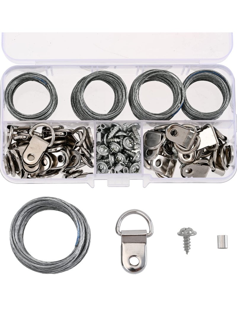 SOLARAE Picture Hanging Kit, 40 Pcs D Ring Picture Hooks with Screws, 4 Rolls of 10ft Picture Hanging Wire, and 40 Pcs Aluminum Sleeves for Hanging Painting Photos (124 Pcs) - Image 1