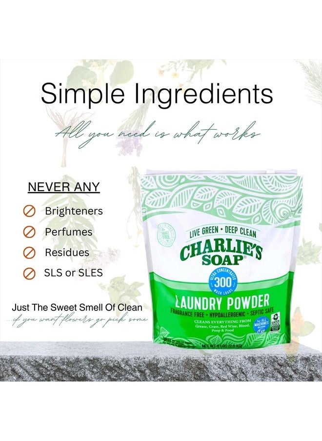 Charlie's Soap - Laundry Powder (300 Loads, 1 Pack) Hypoallergenic Deep Cleaning Washing Powder Detergent – Eco-Friendly, Safe, and Effective - Image 1