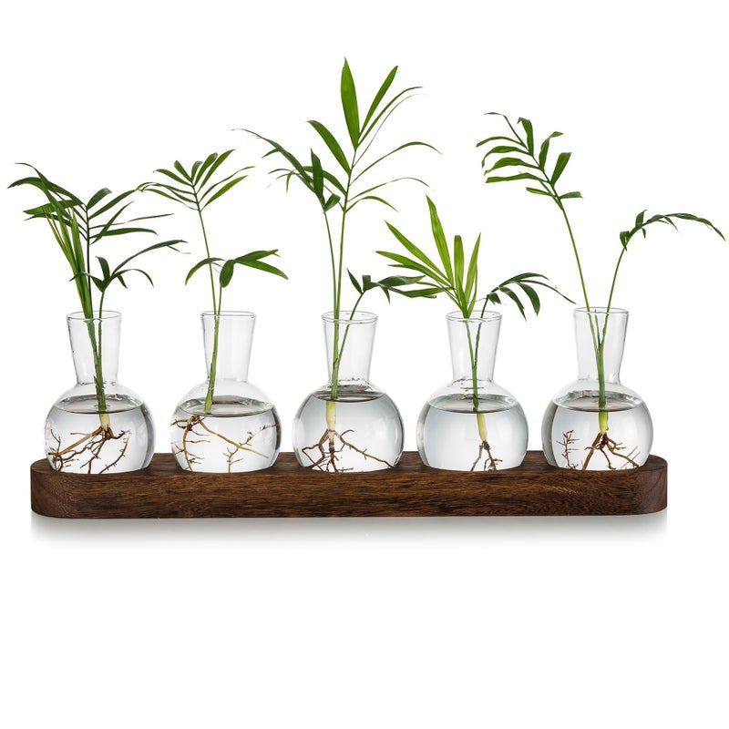 Glasseam Plant Terrarium Propagation Station Glass Planter Bulb Vase With Wooden Tray Modern Bud Vases for Living Room Office Decor Desktop Flower Vase Hydroponics Glass Vase for Plants Cutting