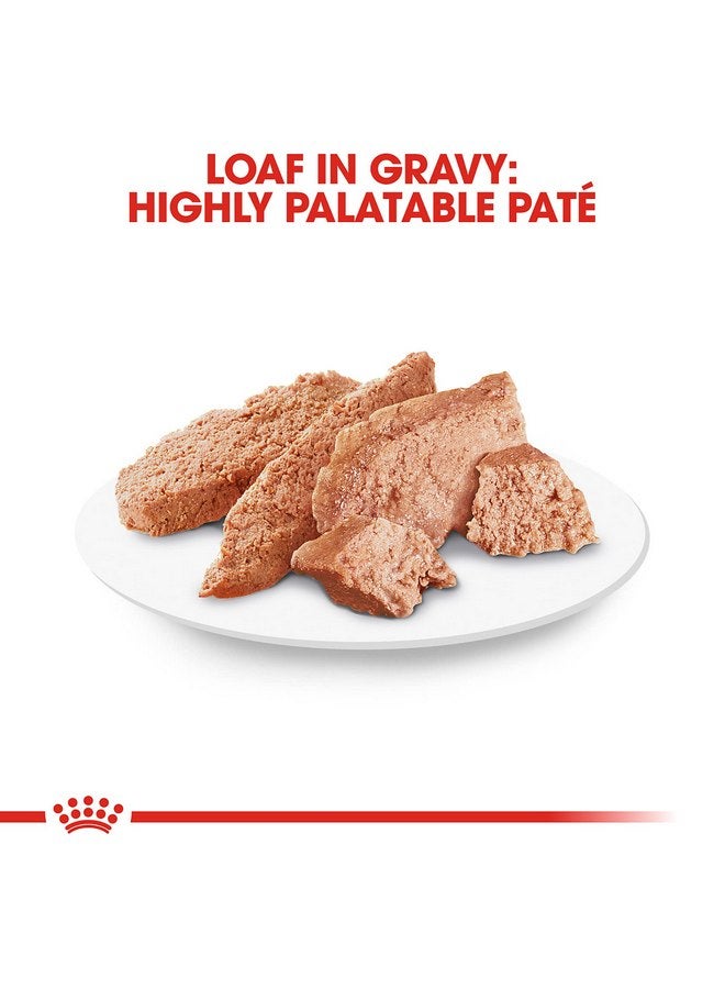 رويال كانين طعام الكلاب الرطب من رويال كانين بريد هيلث نيوتريشن داشهند أدلت لوف إن صوص، علبة 3 أونصة (24 قطعة) - Image 2