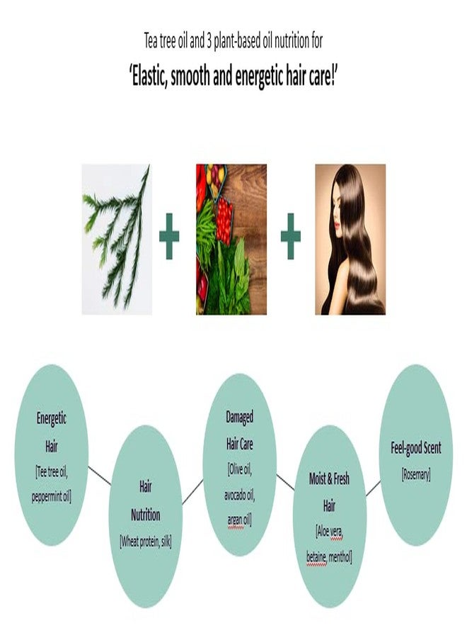 Daeng Gi Meo Ri - Tea Tree Cool Hair Pack, Scalp and Hair Nutrtion Care with Tea tree Oil, Freshness to Oily Scalp, Moisture to Dry Hair, 1000ml - Image 5