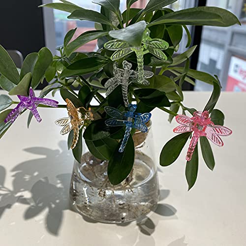 cozyou 30Pcs Colorful Dragonfly Orchid Clips, Garden Plant Vine Support Clips Flower Clips - Image 5