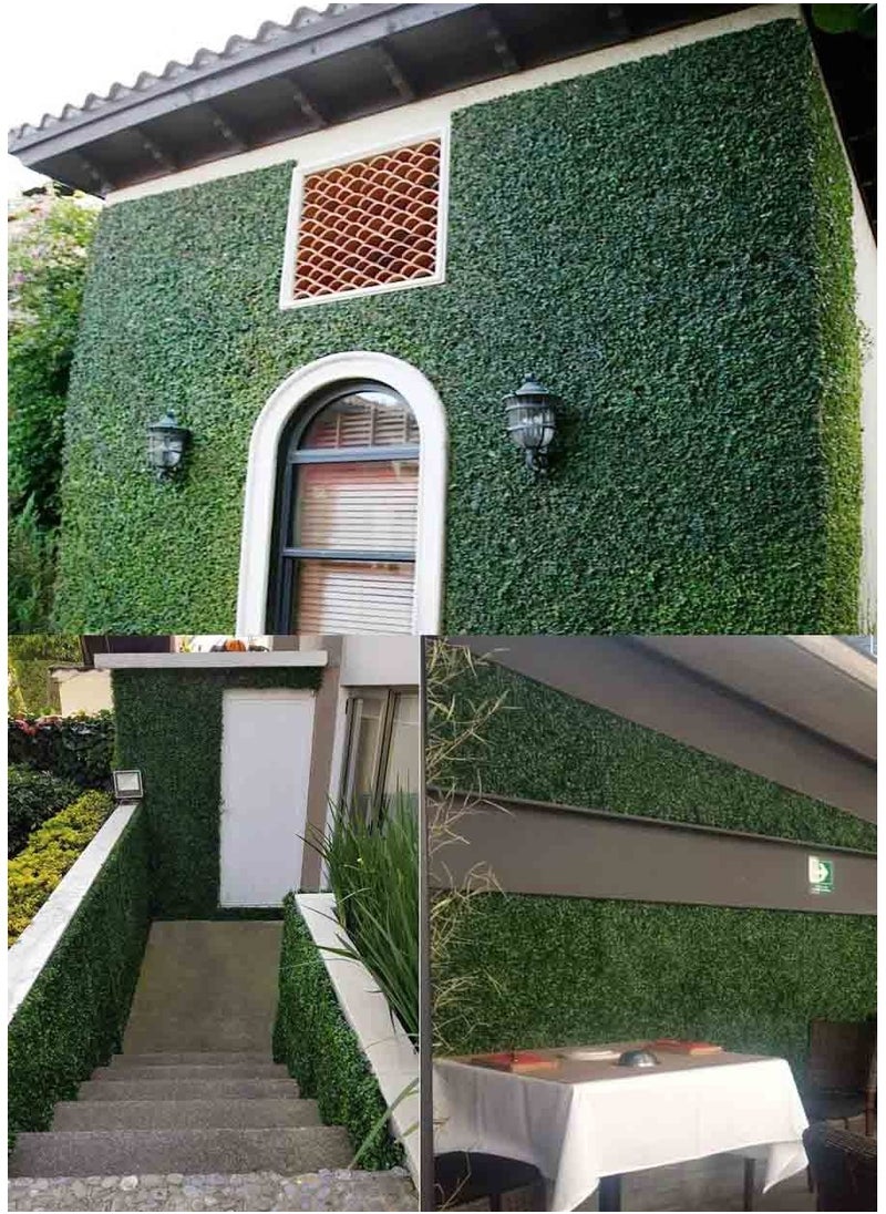 5 Piece Artificial Wall Grass 40x60 cm - pzsku/Z792EBB80C3C0978A3404Z/45/_/1665838328/69655495-db05-440a-b969-409a43791e5a