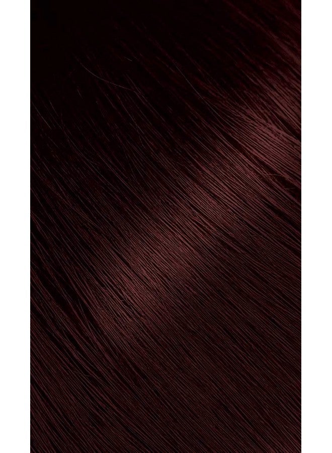 Bigen Ark Auburn Bigen Permanent Powder 12 Pack - Image 2