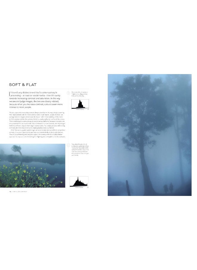 null - Michael Freeman On... Creative Exposure: The Ultimate Photography Masterclass - Image 1