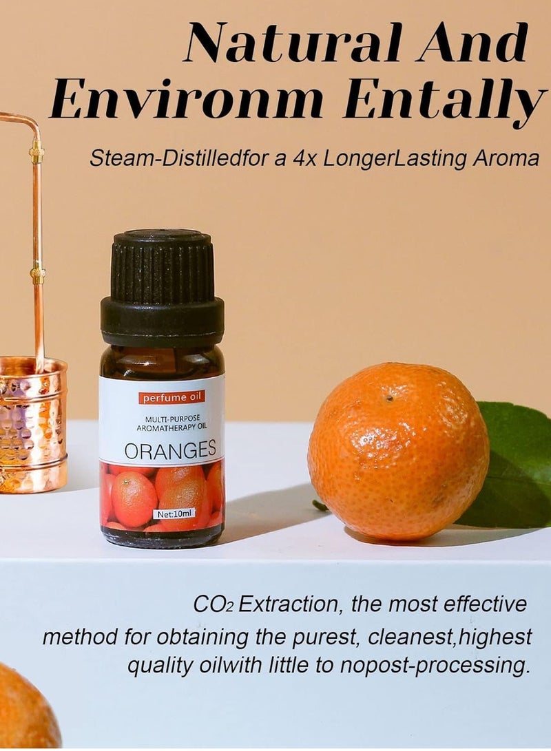 إلترازون Essential Oils Set Top 12 Blends For Diffusers, Home Care, Candle Making Scents, Fragrance, Aromatherapy, Humidifiers Lavender, Oranges, Eucalyptus, Lemon, Peppermint  Sandalwood 10ML Each Bottle - Image 5