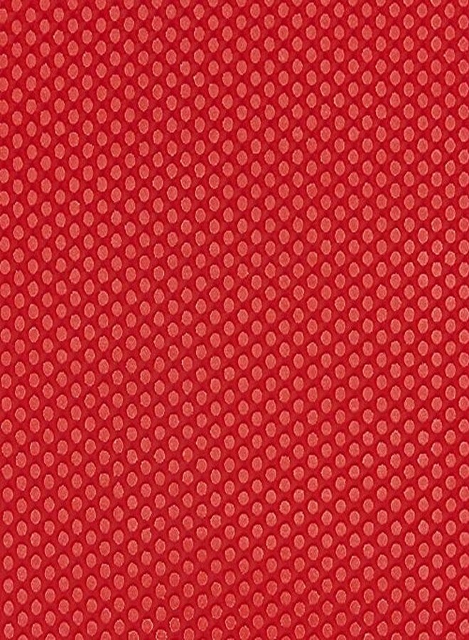 دي إتش أس مضرب تنس الطاولة A4001 DHS مع كرة تنس الطاولة DHS 40 مم 3 نجوم برتقالي (علبة 48 قطعة) - Image 5