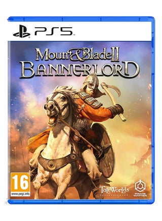 Mount Blade II