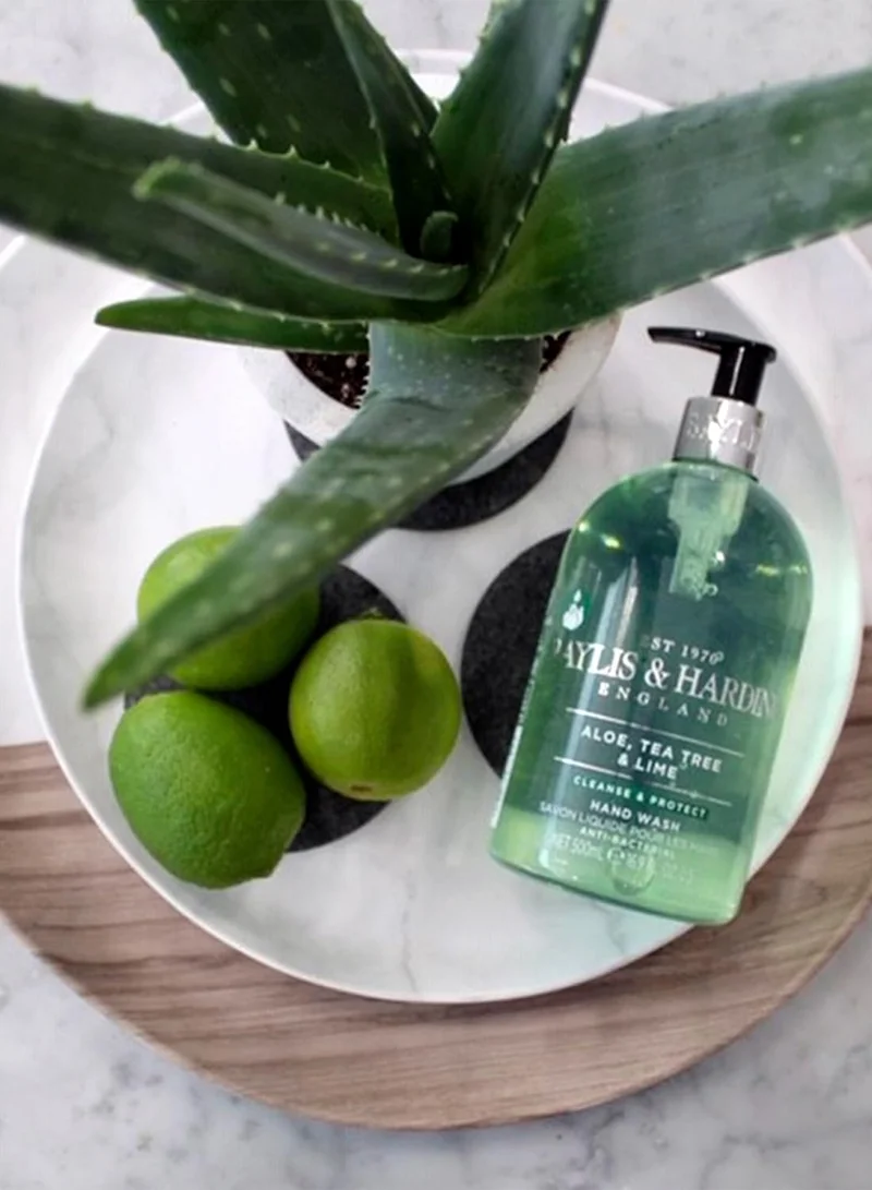 Baylis & Harding Anti-Bacterial Hand Wash - Aloe, Tea Tree & Lime, 500ml | Moisturizing Liquid Soap for Sensitive Skin | Daily Use Hand Cleaner | Refreshing Fragrance