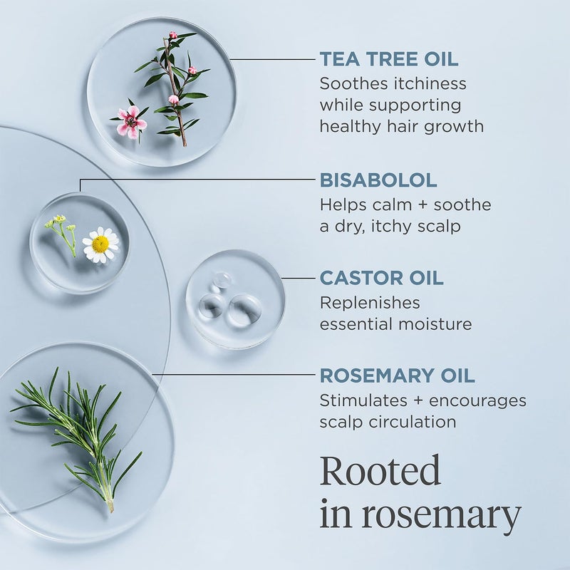 Briogeo Scalp Revival Rosemary Pre-Wash Oil, Hair and Scalp, Dry Scalp Treatment for Stronger and Longer Hair, Soothe Dry Scalp, Lipids and Vitamins, Deep Moisture, Vegan, Cruelty-Free, 1 fl oz - Image 5