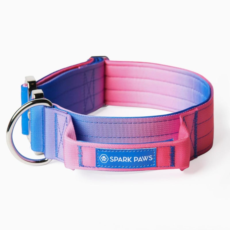 Spark Paws Tactical Dog Collar with Handle Premium Quality Collar Robust and Durable Design for Large Strong Breeds Pitbulls Labradors GSD Snow Cone M - Image 2