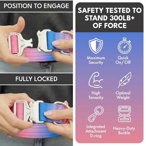 Spark Paws Tactical Dog Collar with Handle Premium Quality Collar Robust and Durable Design for Large Strong Breeds Pitbulls Labradors GSD Snow Cone M - Image 3