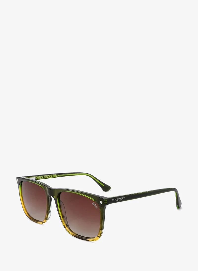 1.1 Tac Polarized Sunglasses Trans.Green Lami Brown Frame Brown Gradient Mirror Lens 56mm  - LCM10553C1
