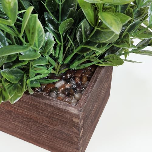 Winlyn 14" Artificial Boxwood Plants in Rectangular Wood Planter Farmhouse Greenery Arrangement Centerpiece Faux Potted Herb Plant for Wedding Dining Room Table Kitchen Windowsill Mantel Shelf Décor - Image 4