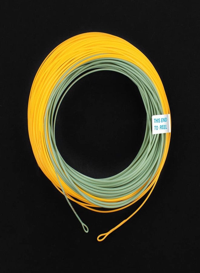 HERCULES Fly Fishing Line Floating Weight Forward Fly Line with Double Welded Loop, Gold & Moss Green, WF3F 90FT - Image 3