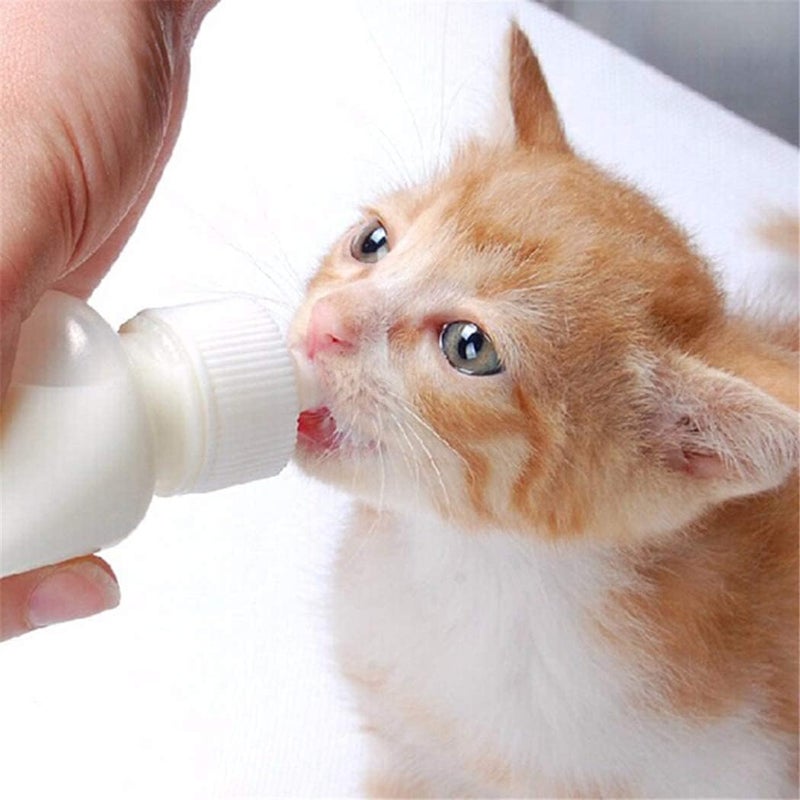 Xuanda Pet Feeding Bottle and Syringes with for Small Cat Dog Animals (Model 1) - Image 3