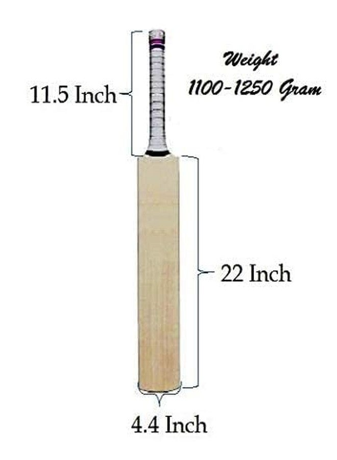 تي آر مضرب كريكيت من خشب الصفصاف الكشميري مع مقبض يدوي مقاوم للصدمات وغطاء حماية مبطن للمضرب (SH) - Image 4