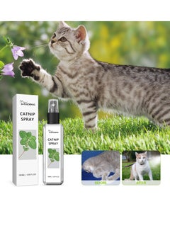 Catnip spray suitable for cats and kittens to relieve cat anxiety and enhance pet vitality