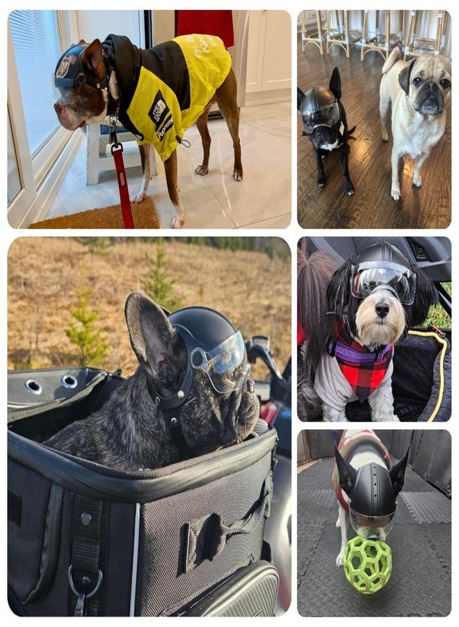 Billionchains Dog Helmet for Small Breed Cool Pet Motorcycle Helmet with Drop-Down Clear Visor (Without Rivets) - Image 2