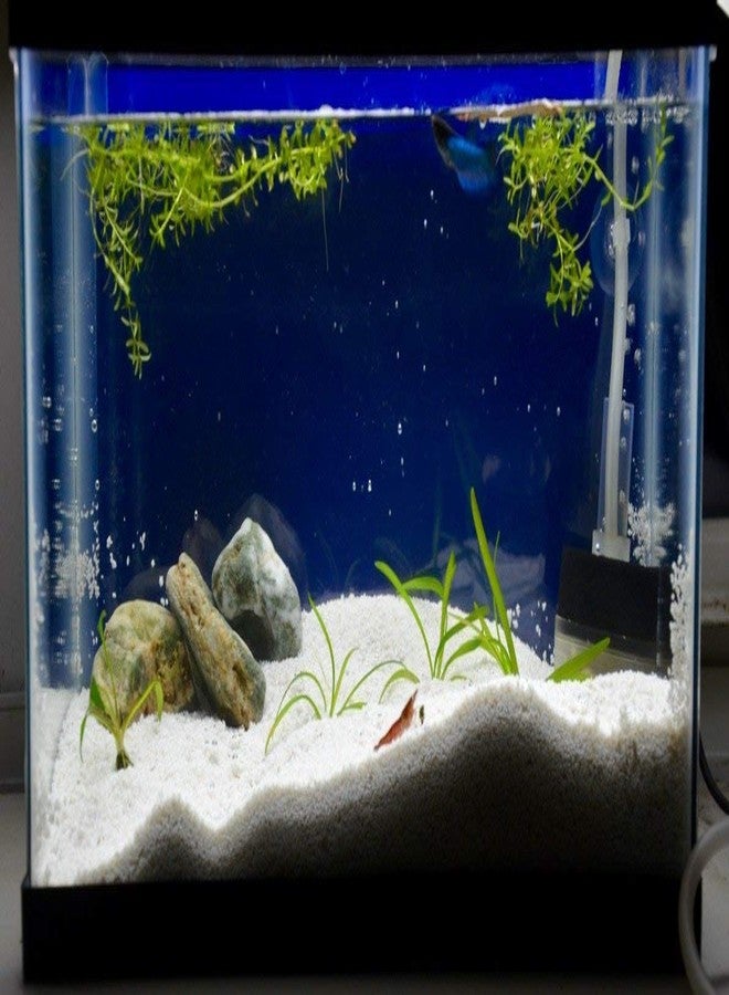 ARK AQUATICS حصى رمل سكري ملون من ARK AQUATICS® لتزيين أحواض السمك والحدائق (475 غرام، أبيض) - Image 3