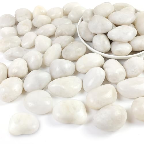 SHIZWU 5LB Polished White River Rocks for Plants,1-2.2 Inch Polished Pebbles for Garden Decoration Stones for Landscaping Aquarium Fish Tank Succulents - Image 1