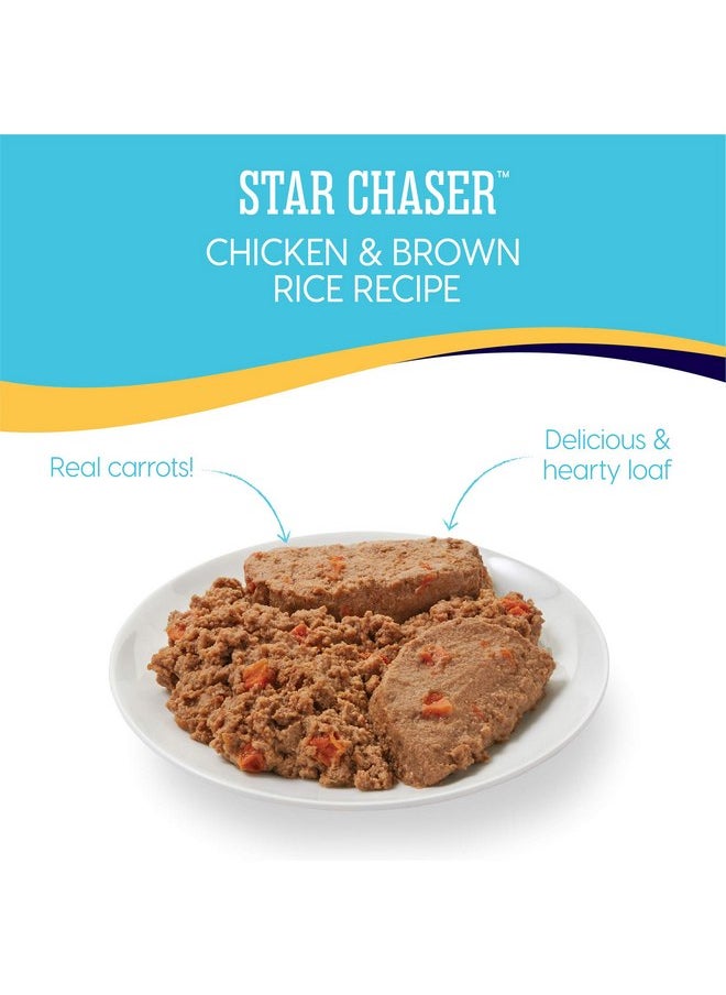 solid gold - Solid Gold Canned Dog Food for Adult & Senior Dogs - Made with Real Chicken and Whole Grains - Star Chaser High Calorie Wet Dog Food for Healthy Digestion and Immune Support… - Image 1
