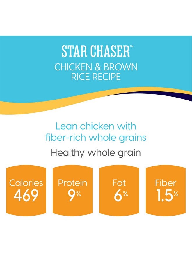 solid gold - Solid Gold Canned Dog Food for Adult & Senior Dogs - Made with Real Chicken and Whole Grains - Star Chaser High Calorie Wet Dog Food for Healthy Digestion and Immune Support… - Image 1