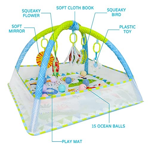 Dr.Rapeti DrRapeti Baby Play Gym Mat with Ball Pit Activity Gym Center Tummy Time Mat Thickened Mat Sensory Exploration Motor Skill Development for Newborn Infant Baby Toddlers - Image 5