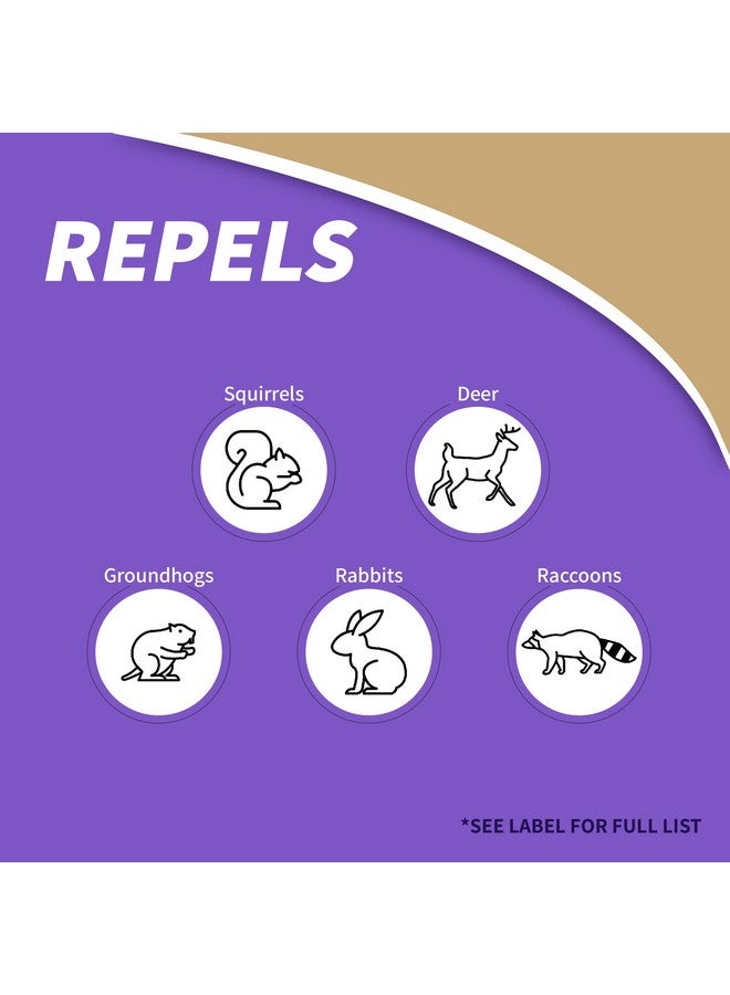 بونيد حبيبات Bonide Repels-All طاردة للحشرات الحيوانية، 3 أرطال، طاردة جاهزة للاستخدام للغزلان والأرانب، تمنع الآفات من الحديقة والعشب  - Image 3