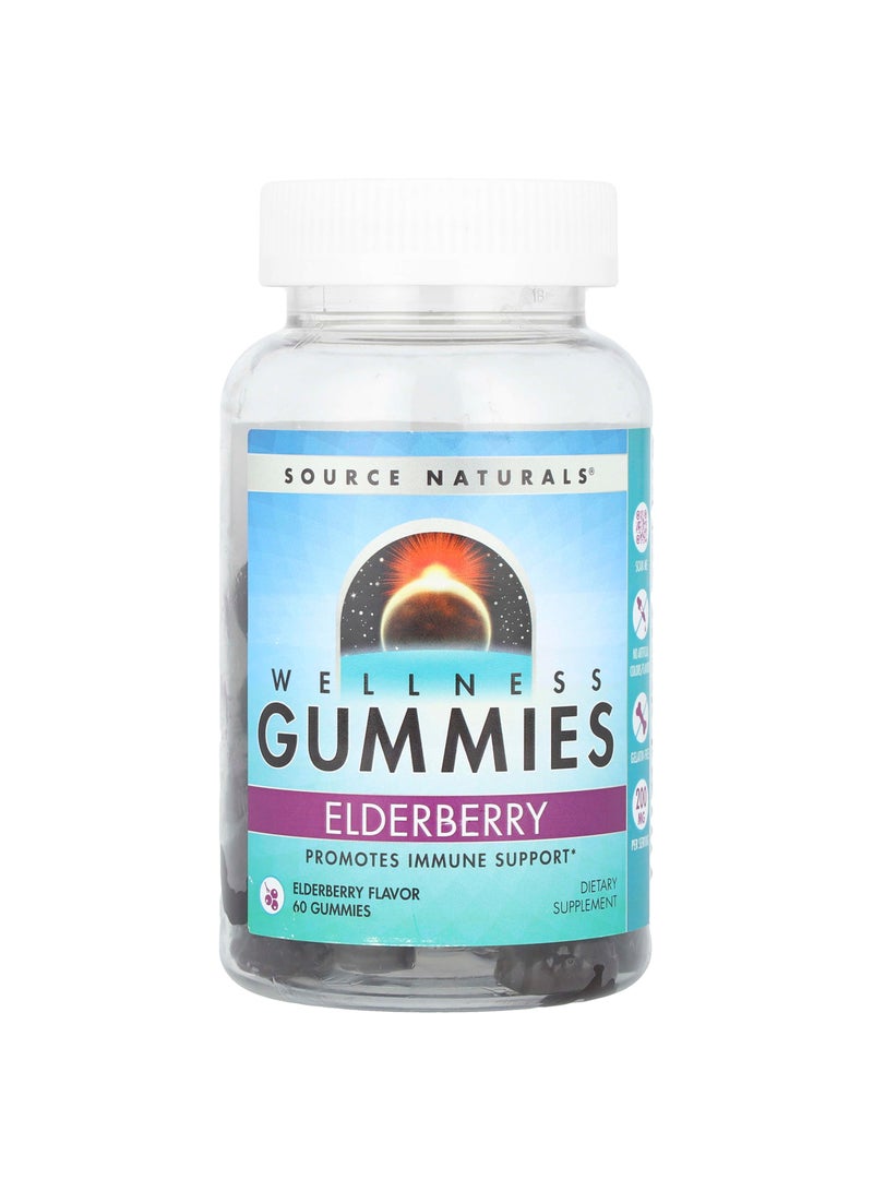 Source Naturals Wellness Gummies, Elderberry, 60 Gummies