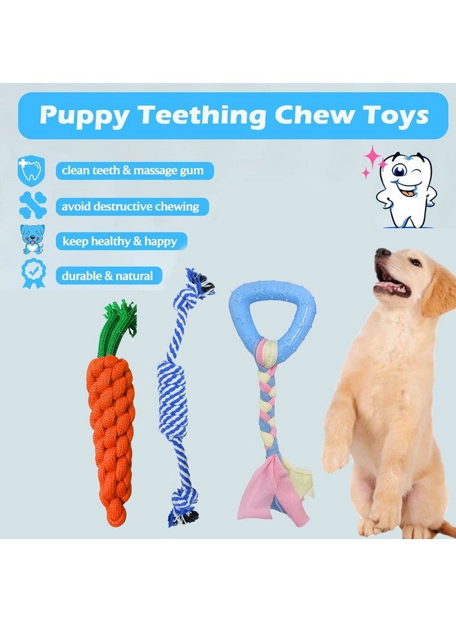 إيميلي بيتس ألعاب مضغ مطاطية للكلاب، ألعاب حبلية، مجموعة متكاملة، مجموعة ألعاب للكلاب الصغيرة والمتوسطة الحجم | ألعاب مضغ للجراء (قد يختلف اللون، عبوة من 3 قطع) - Image 3