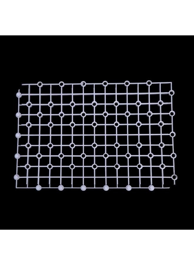 علبة مقسمة لحوض السمك معزولة أسفل الشبكة - Image 3