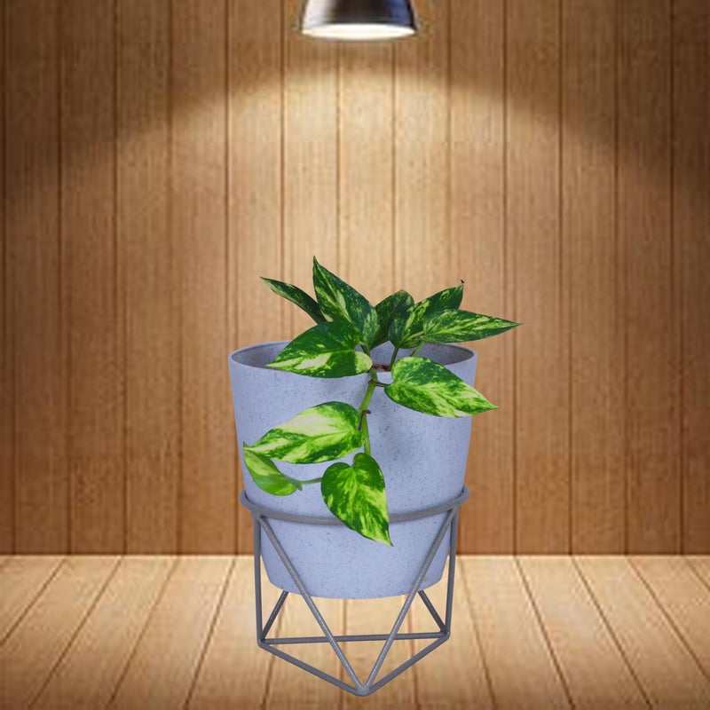 D&V ENGINEERING - Creative in innovation D&V Engineering Modern Diamond Shape Metal Plant Stand | Stylish Indoor & Outdoor Planter Holder | Elegant Decor for Living Room, Bedroom & Garden | Ideal Gift for Plant Lovers (Grey) - Image 5