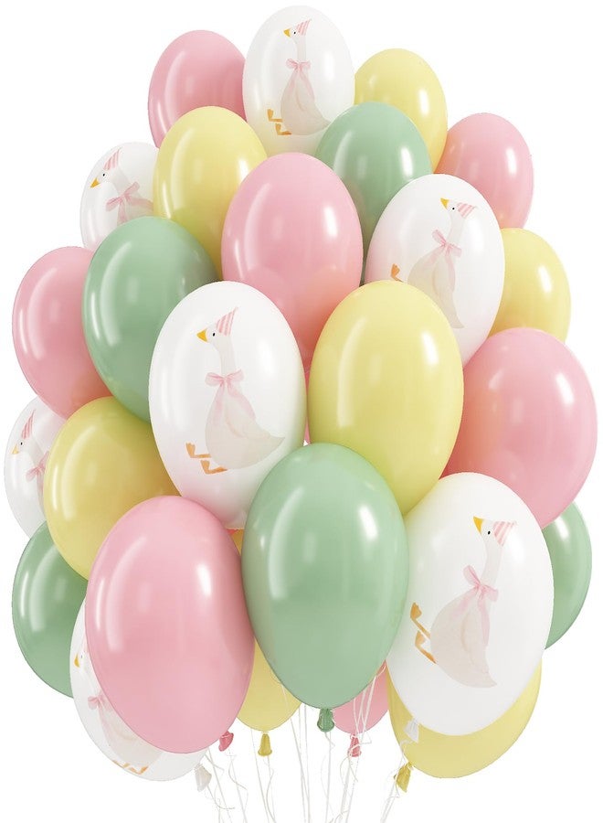 Froova Goose Balloons Set, Pastel Pink Sage Dusty Green Light Yellow White Latex Balloons, 12 Inch Pink Green Yellow Funny Balloon for Kids One Silly Goose Birthday Party Decorations Baby Shower Farm Decor - Image 1