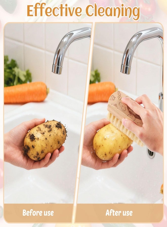 ZJoey Vegetable and Fruit Cleaning Brush Scrubber Beechwood Handle Fruits Veggie Wash Brushes Potato Carrot Cucumber Mushrooms Washing Cleaner(Beige A, 1) - Image 4